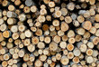 pile of wood in logs storage