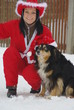 Weihnachtsfrau mit Hund