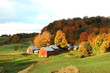 Jenny Farm