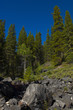 Rock Slide in Banff National Park Rock Slide in Banff National Park