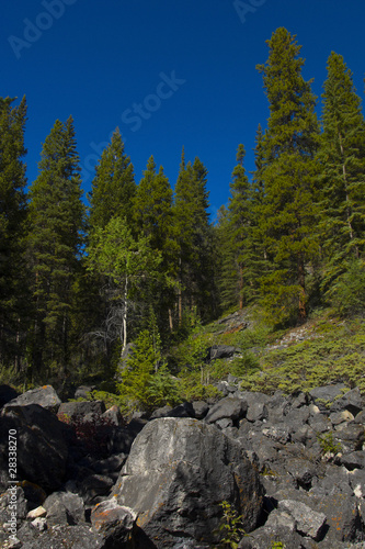 Photo: Rock Slide in Banff National Park Rock Slide in Banff National Park