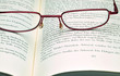 Lesen  #101210-003
