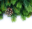 Evergreen Christmas Tree