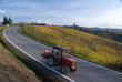 Vigneti nelle Langhe
