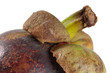Mangostane, Purple Mangosteen, Garcinia mangostana