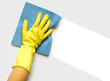 Hand with sponge