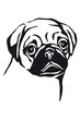 Mops