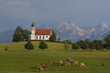 Foto: Allgäu Idylle Allgäu Idylle