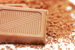 The chocolate block on a chocolate crumb