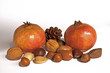 Fruits of Autumn
