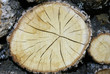 closeup of firewood stacked