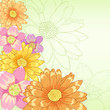 Vector hand drawn flowers with green background