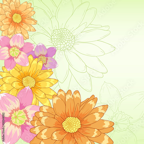 Vector: Vector hand drawn flowers with green background Vector hand drawn flowers with green background