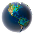 Earth after the Flood