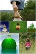 Foto: pause nature pause nature