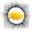 macaroni