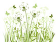 floral background with grass and dandelions floral background with grass and dandelions