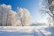 Winter park in snow Winter park in snow