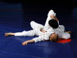 Judo fighting competition