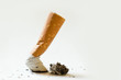 mégot de cigarette