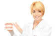 doctor with jaws