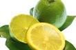 Photo: zitron limetten zitron limetten