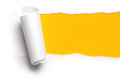 Photo: ripped paper ripped paper