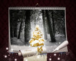 Fairy Christmas Night