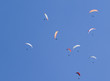 Gleitschirmflieger in der Ortenau