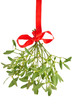 Mistletoe isolated