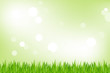 Green Grass Green Grass