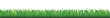 Grass Grass