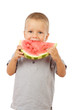 Foto: Little boy eating watermelon, studio shoot Little boy eating watermelon, studio shoot
