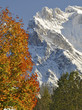 Karwendel Herbst