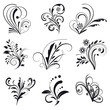 Set of floral design elements Set of floral design elements
