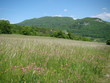 Paysage