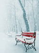 Red bench in the snow Red bench in the snow