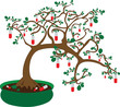 Herbal tree growing medical pills