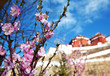 Potala