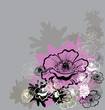 Gray dirty background with poppies Gray dirty background with poppies