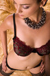 Girl in the lingerie Girl in the lingerie