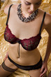 Girl in the lingerie Girl in the lingerie