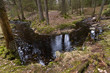 Photo: A river bend in a forest A river bend in a forest
