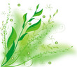 abstract flower Illustration vector spring summer green