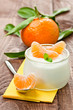 Joghurt mit Mandarine