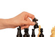 grossmeister plays