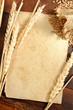 Old paper with wheat ears Old paper with wheat ears