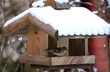 Futterhaus mit Schneedach