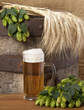 beer with barley and hop