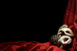 Carnival mask
